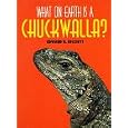 What on Earth Is a Chuckwalla? (What on Earth)