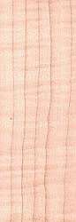 Maple Curly Sample Standard collectors size 1/2'' x 3'' x 6''