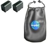 ValuePack (2 Count): Digital Replacement Battery for Specific Digital Camer ....