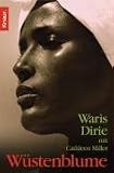 Desert Flower: The Extraordinary Journey Of A Desert Nomad