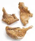 Childrens Toyshop  Gourmet Food : OYSTER MUSHROOMS,(DRIED) 1 lb.