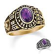 ZALES 14K Gold Designer Stylist Ladies' Class Ring