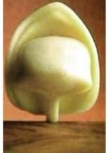 Carlas Precooked Tortellini Egg Pasta, 3 Pound -- 4 per case.