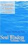 Soul Wisdom: v. 1: A Chronicle of Angelic Contact