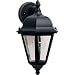 1-100M 8X15 EB LANTERN