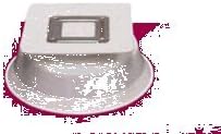 Divided Plate with Suction Pad