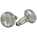 Zoo Med Repti Basking Spot Lamp 2-Bulb Value Pack