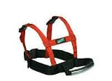 Lucky Bums Grip 'n Guide Sports Harness