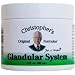 Mullein & Lobelia Ointment (replaced by Glandular System Ointment) - 2 oz - Cream