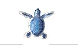 Flatback Hatchling Turtle Silver and Enamel Pin