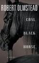 Coal Black Horse [CD] (Audiobook)