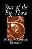 Year of the Big Thaw