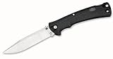 Buck Knives Folding BUCKLITE MAX-Large