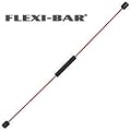Original ErgoBasis Flexi-Bar Set + 6 DVD s + Anleitung + Tasche