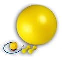 Bodymax 65cm Gym Ball including Foot Pump and Dumbell Set
