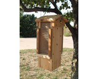 Songbird Essentials SESCS3003RW Ultimate Bird Feeder