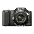 Sony Cyber-shot DSC-H20/B 10.1 MP Digital Camera with 10x Optical Zoom and Super Steady Shot Image