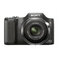 Sony Cyber-shot DSC-H20/B 10.1 MP Digital Camera with 10x Optical Zoom and Super Steady Shot Image Stabilization