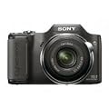 Sony Cyber-shot DSC-H20/B 10.1 MP Digital Camera with 10x Optical Zoom and Super Steady Shot Image Stabilization