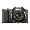 Sony Cyber-shot DSC-H20/B 10.1 MP Digital Camera with 10x Optical Zoom and Super Steady Shot Image Stabilization