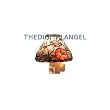 Hummingbird night Light Porcelain Nightlight lamp New