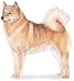 Sheet of 21 Personalised Glossy Stickers or Labels Finnish Spitz