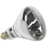 CLEAR HEAT LAMP 250Watt