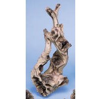 Driftwood - Banyon - 5 12 in. x 5 in. x 14 in. - Buy Driftwood - Banyon - 5 12 in. x 5 in. x 14 in. - Purchase Driftwood - Banyon - 5 12 in. x 5 in. x 14 in. (Penn Plax, Home & Garden, Categories, Pet Supplies, Fish & Aquatic Pets, Aquarium Accessories, Decor, Driftwood)