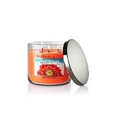 Bath and Body Works ~ Slatkin and Co. Candle Island Nectar by SLATKIN 14.5 OUNCE CANDLE Island Necta