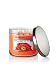 Bath and Body Works