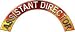 Assistant Director Real Fire Firefighter Fire Helmet Arcs / Rocker Decals Reflective