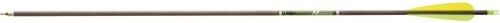 1 Dozen Gold Tip Hunter XT Arrow Shafts Black