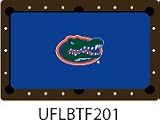 7 foot Billiard Pool Table Cloth Florida