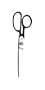 Charles Leonard Inc. Cast Iron Shears with Nickel Plated Handles, 7 Inches Contract, 1 Dozen (1/Sheath) (607-2)