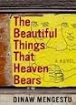 Beautiful Things That Heaven Bears