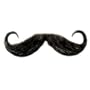 Handle Bar Mustache