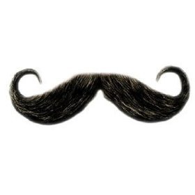 handle bar mustache cheap price