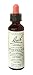 Bach Honeysuckle 20 ml