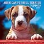 American Pit Bull Terrier Puppies 2009 Wall Calendar 12" X 12"