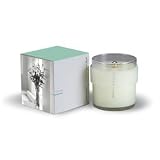 APOTHIA Los Angeles - Casa Candle