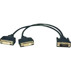 Tripp Lite P564-001 1-ft. DVI-D Y Splitter Cable (DVI-D M/2xF)