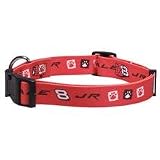DALE EARNHARDT, JR. ADJUSTABLE DOG PET COLLAR SZ M