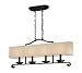 World Imports 2026-42 Canberra 4 Light Island Pendant