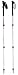 Sporting Goods : Trail Trekking Poles (Pair)