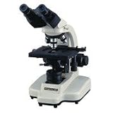 BR3015 Binocular, 6v20w Variable Halogen by Sunglasses
