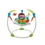 Fisher-Price Precious Planet Jumperoo