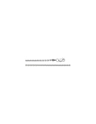 2.5 mm Solid, Wheat Chain 14K White 7 Inch Ch118