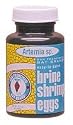 Brine Eggs - 0.21 oz.