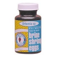 Brine Eggs - 0.21 oz. by SAN FRANCISCO BAY BRAND INC.