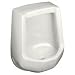 Kohler K-4989-R-0 Freshman urinal with rear spud, White